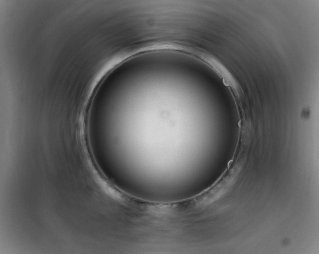 X0000101650813200807101230