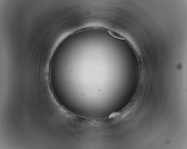 X0000101650815200807101230
