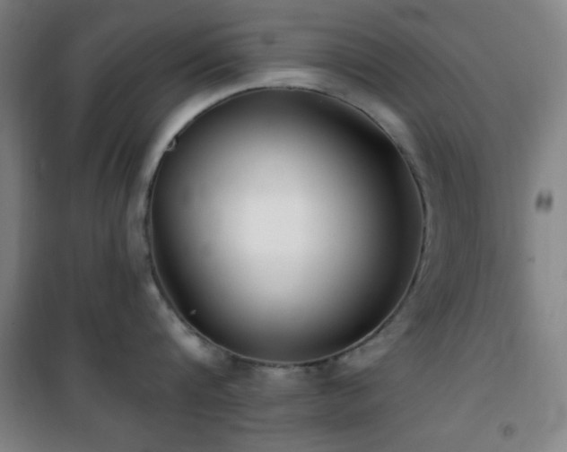 X0000101650816200807101230
