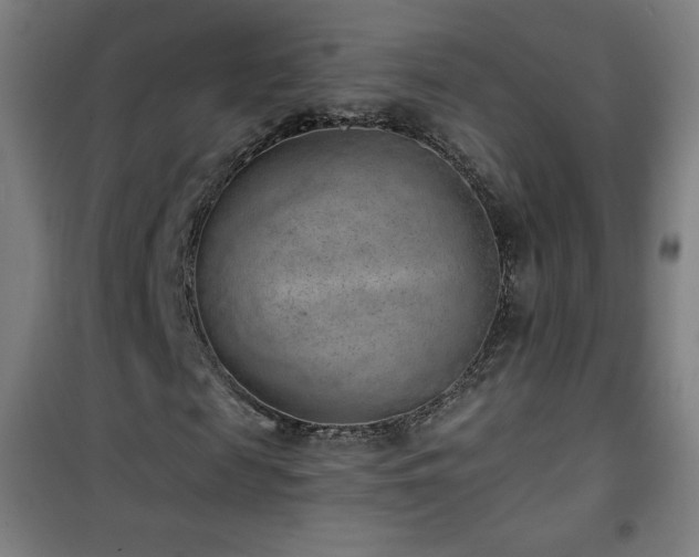 X0000101650817200807101229