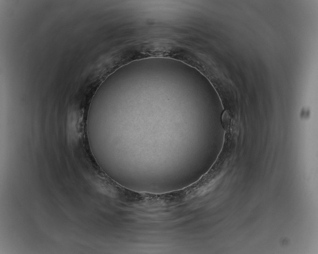 X0000101650818200807101229