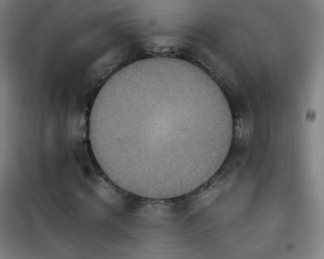 X0000101650820200807101229