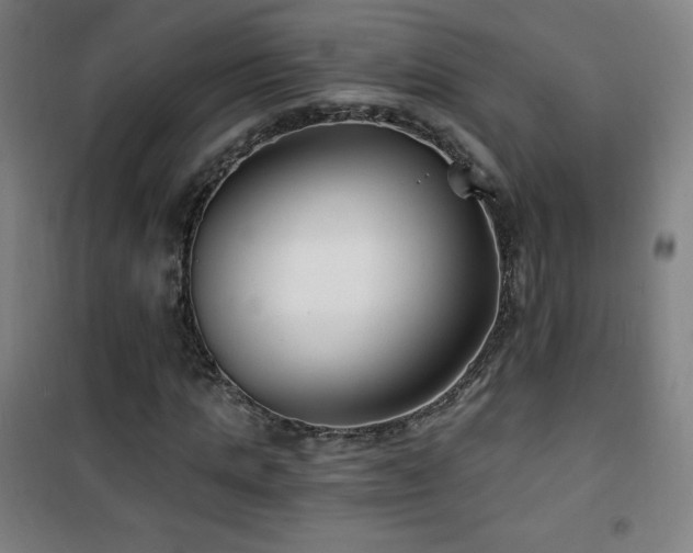 X0000101650821200807101229