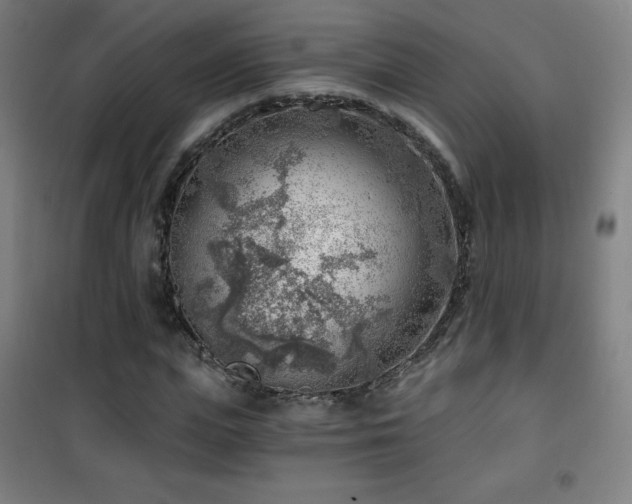 X0000101650823200807101229