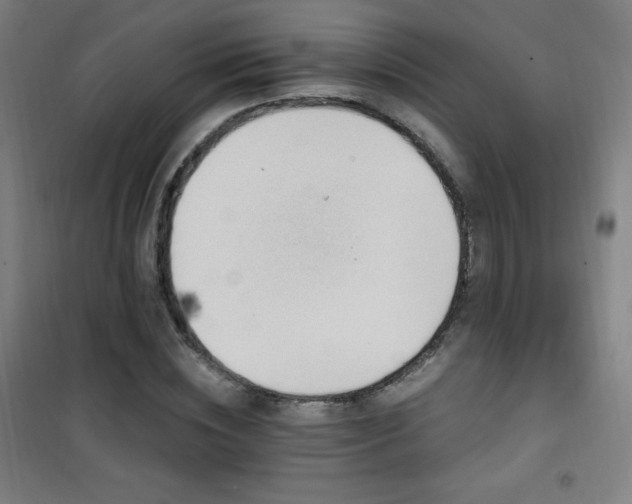 X0000101650828200807101229