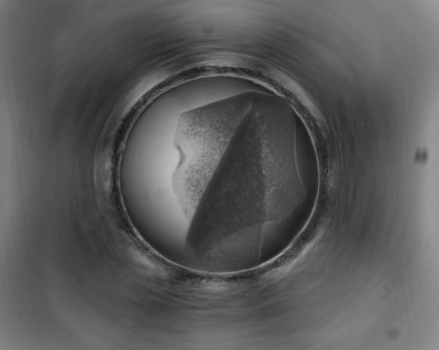X0000101650829200807101229