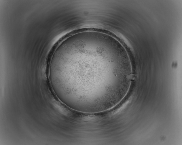 X0000101650830200807101229