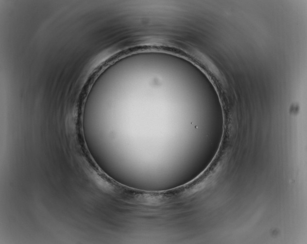 X0000101650831200807101229