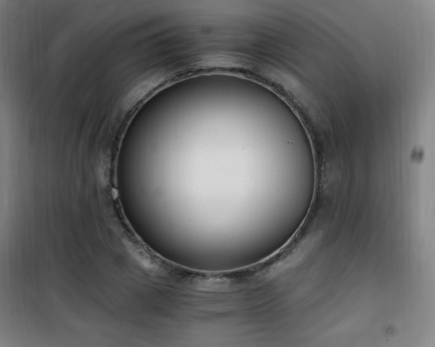 X0000101650833200807101229