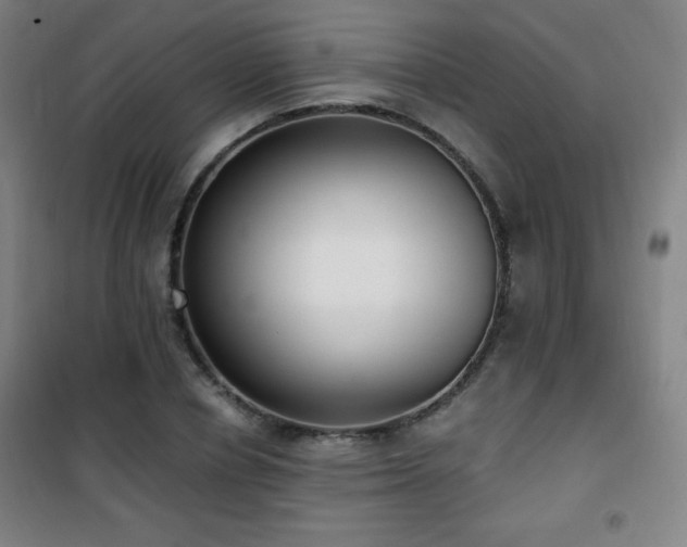 X0000101650834200807101229