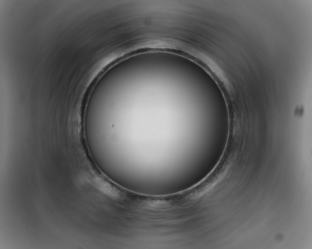 X0000101650837200807101229