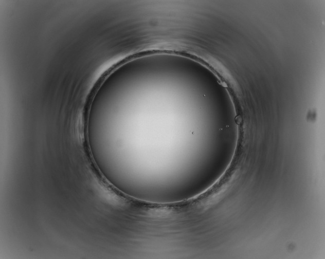 X0000101650838200807101229