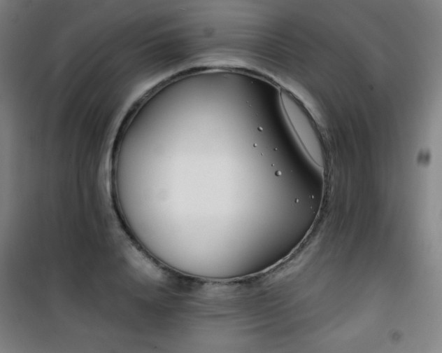 X0000101650840200807101229