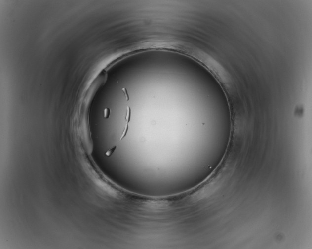 X0000101650844200807101229