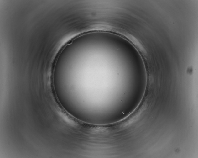 X0000101650846200807101229