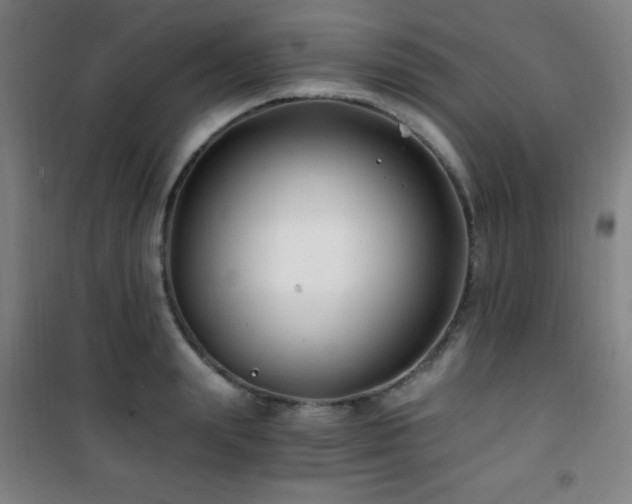 X0000101650847200807101229