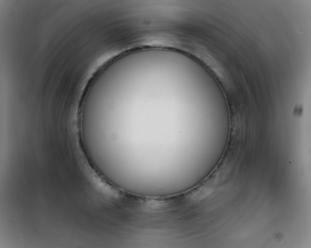 X0000101650848200807101229