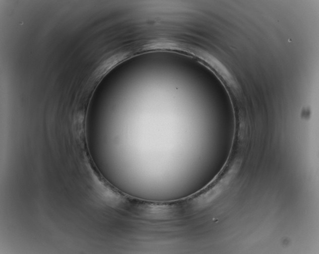 X0000101650849200807101229