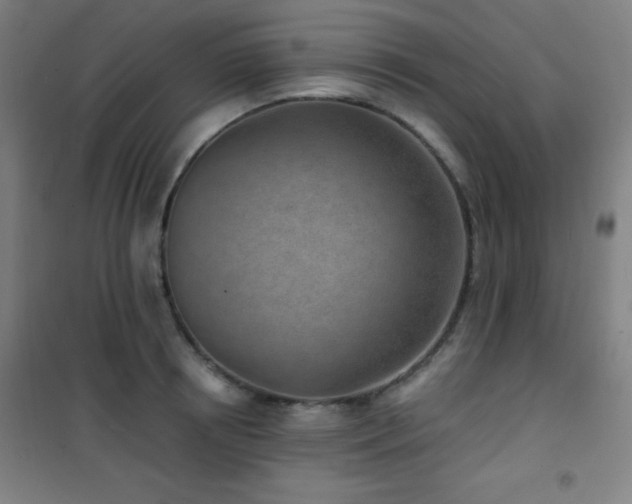 X0000101650850200807101229