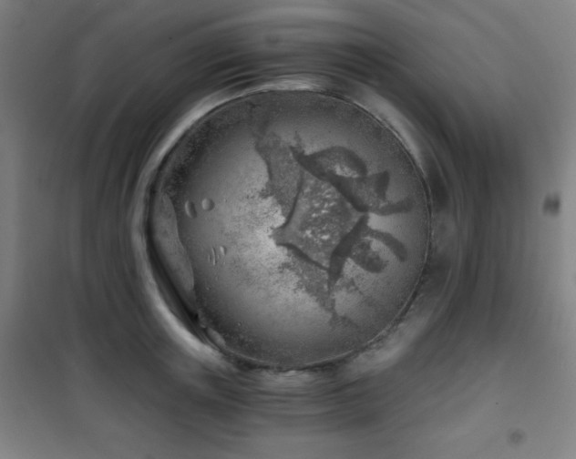 X0000101650851200807101230