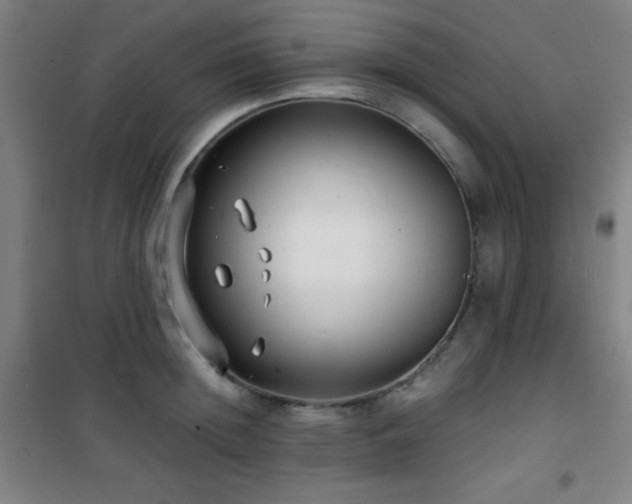 X0000101650852200807101230