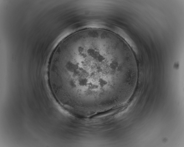 X0000101650853200807101230