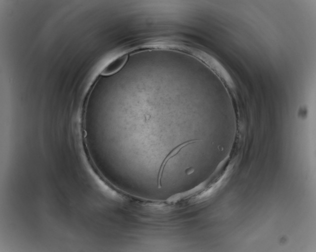X0000101650855200807101230