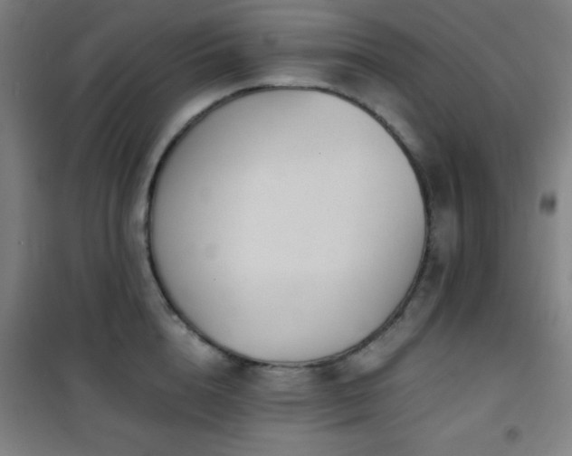 X0000101650856200807101230