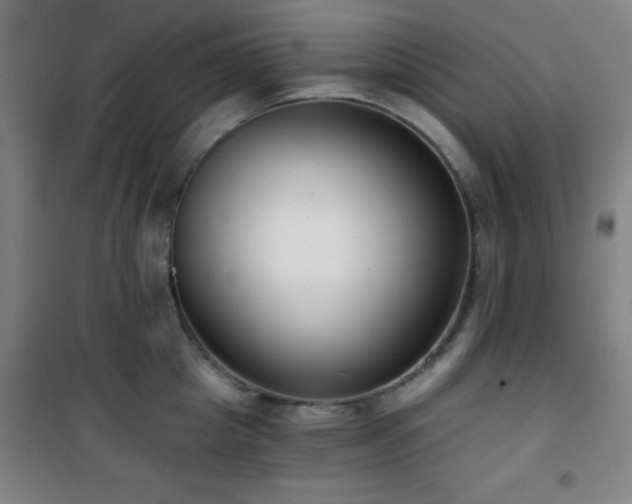 X0000101650857200807101230