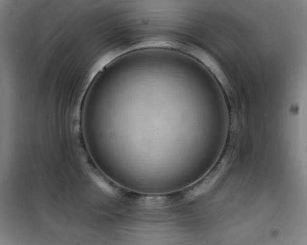 X0000101650858200807101230