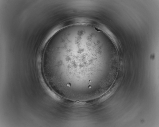 X0000101650859200807101230