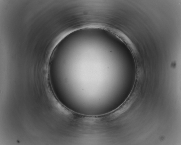 X0000101650860200807101230