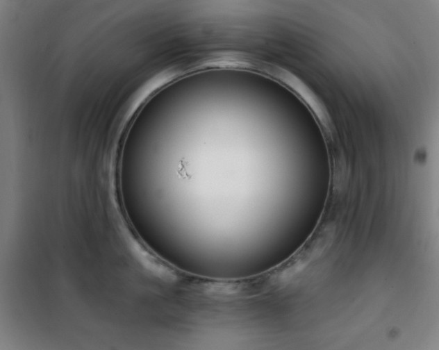 X0000101650861200807101230