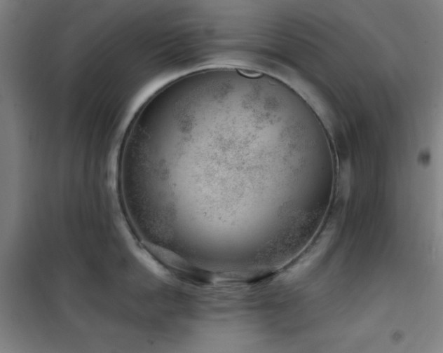 X0000101650862200807101230