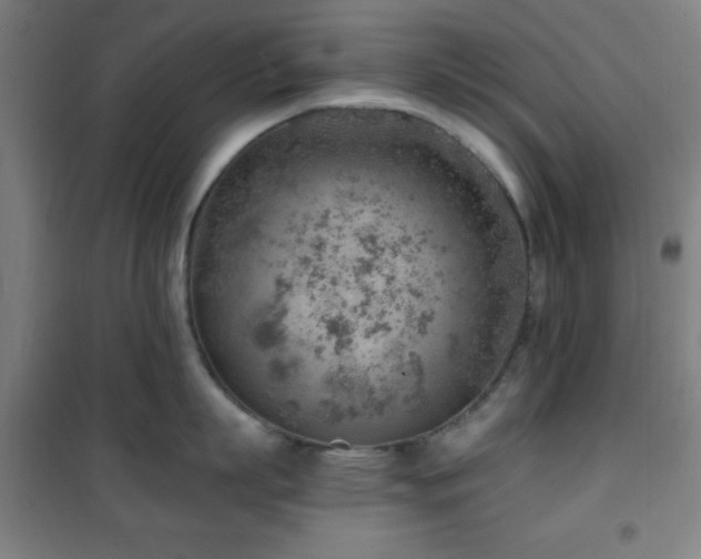 X0000101650863200807101230