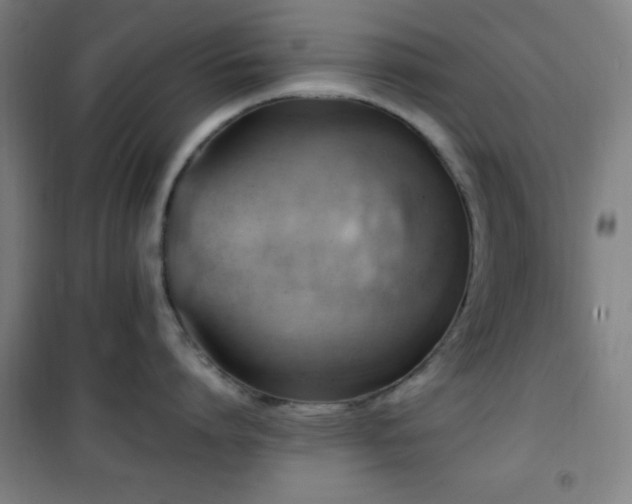 X0000101650864200807101230
