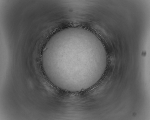 X0000101650865200807101229