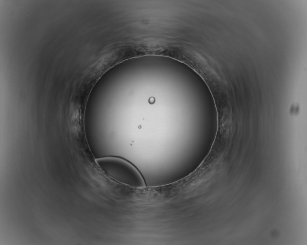 X0000101650866200807101229