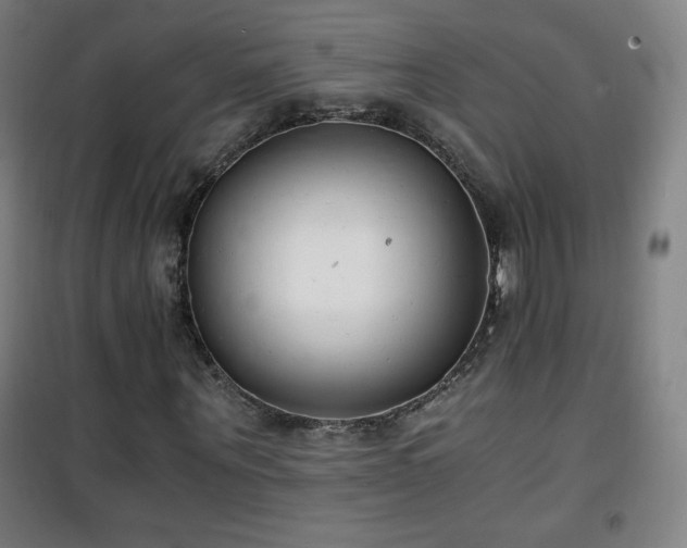X0000101650867200807101229