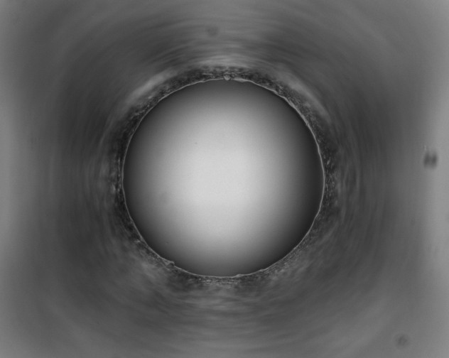 X0000101650870200807101229