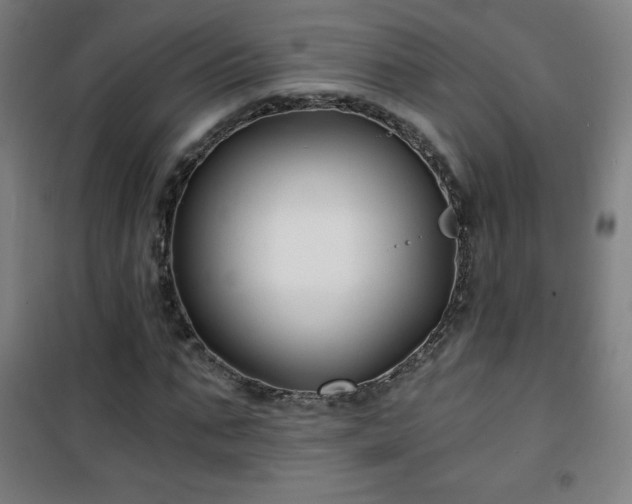 X0000101650871200807101229