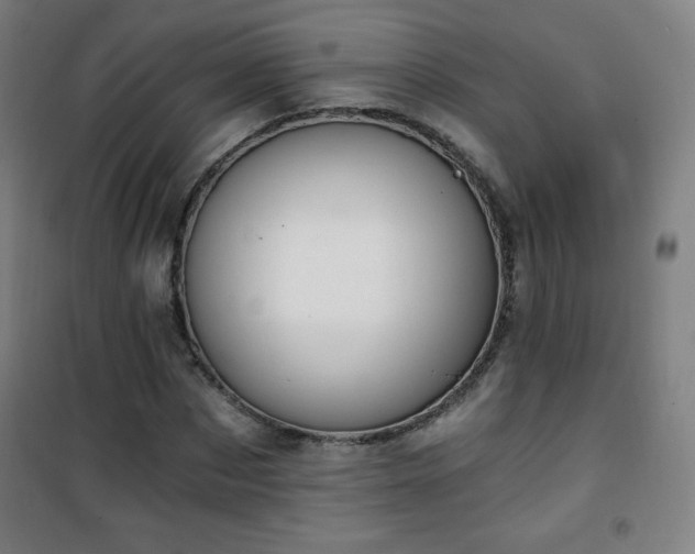 X0000101650873200807101229