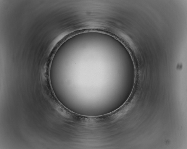 X0000101650875200807101229