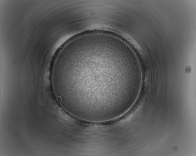 X0000101650877200807101229