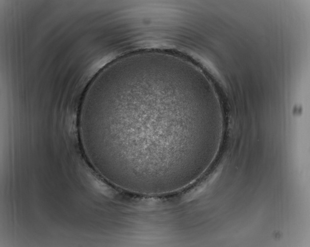 X0000101650881200807101229