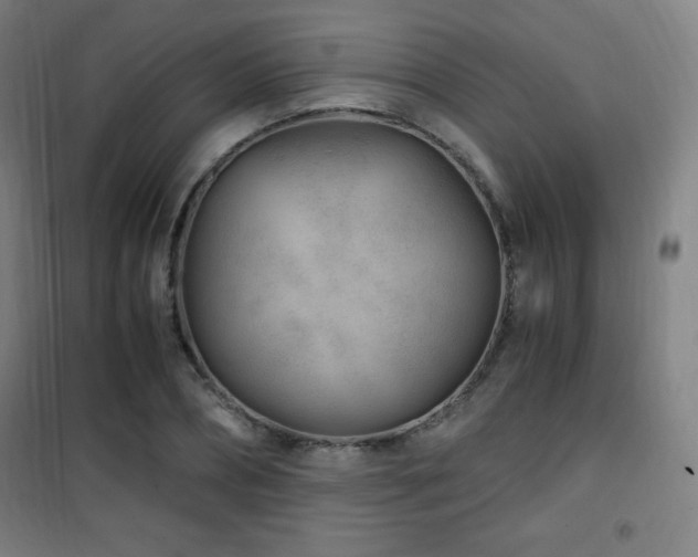 X0000101650882200807101229