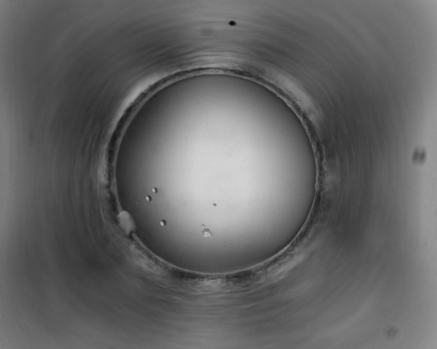 X0000101650883200807101229
