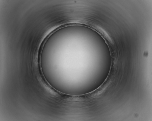 X0000101650884200807101229