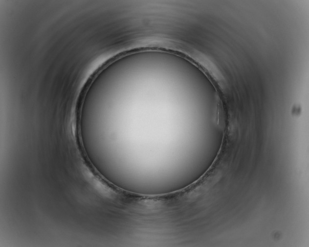 X0000101650888200807101229