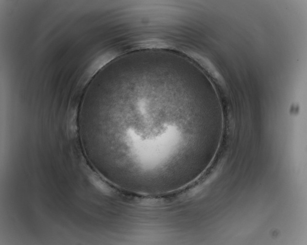 X0000101650889200807101229
